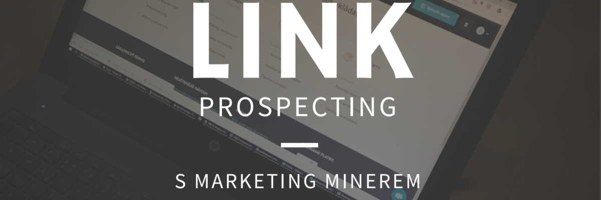 link-prospecting-ladyvirtual